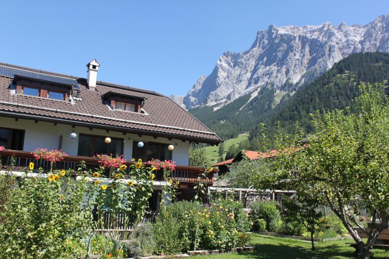 エールヴァルトHaus Alpenblumeアパートメント エクステリア 写真