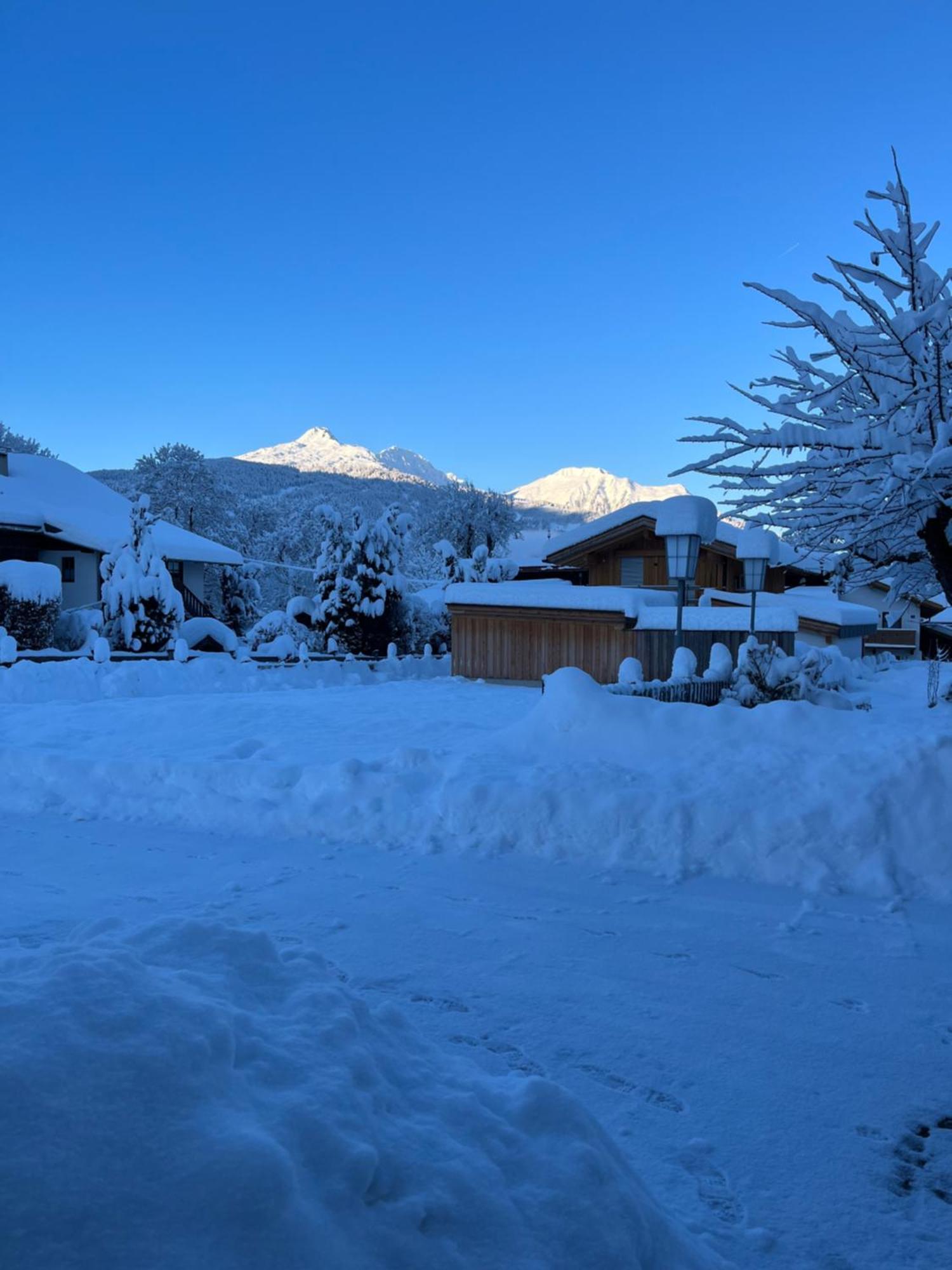 エールヴァルトHaus Alpenblumeアパートメント エクステリア 写真