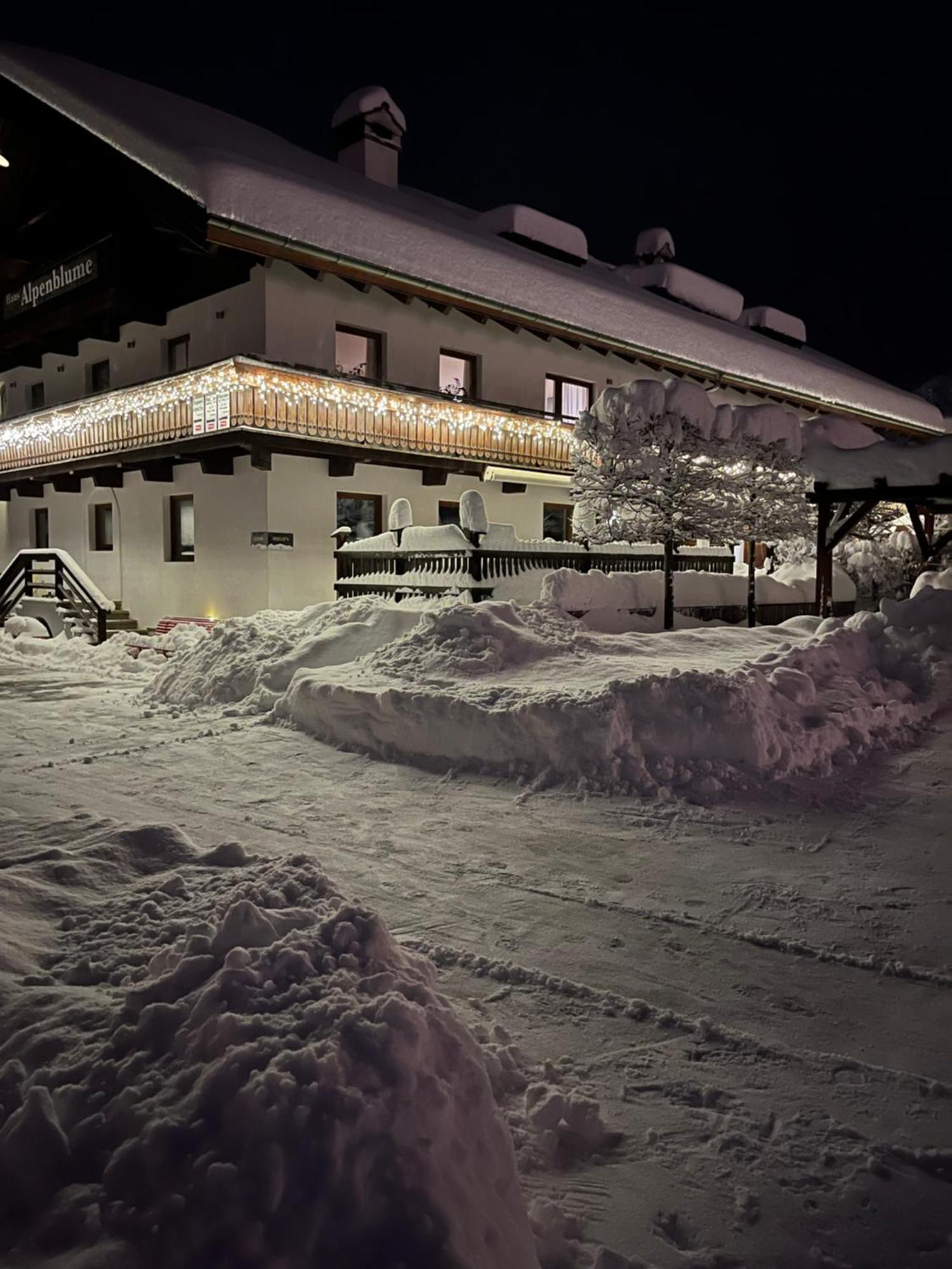 エールヴァルトHaus Alpenblumeアパートメント エクステリア 写真